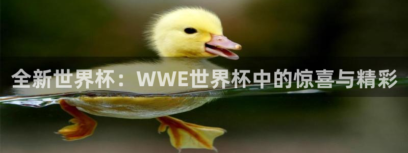 世界杯球队排名：全新世界杯：WWE世界杯中的惊喜与精彩