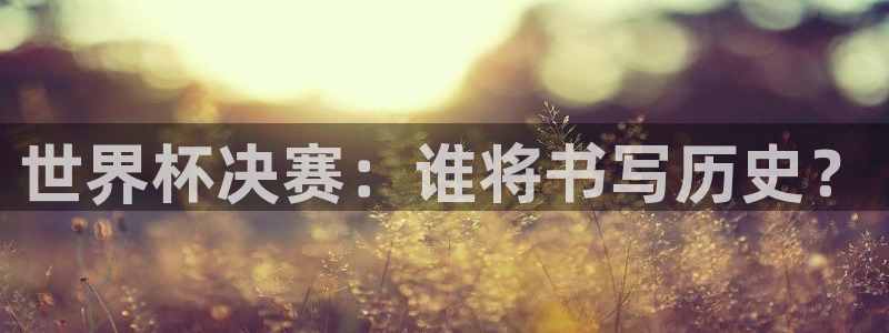 欧洲区世界杯预选赛：世界杯决赛：谁将书写历史？