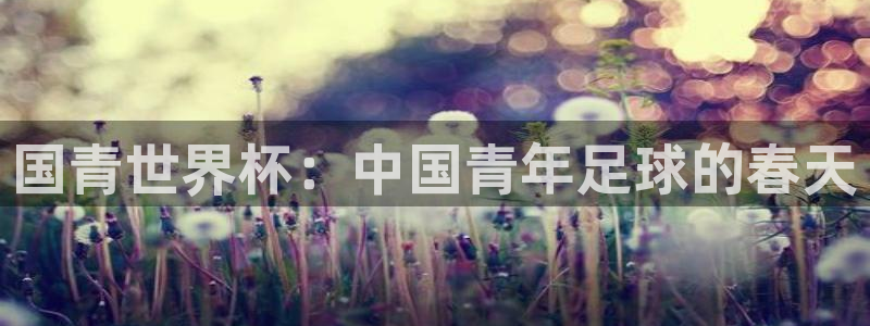 世界杯预选赛直播：国青世界杯：中国青年足球的春天