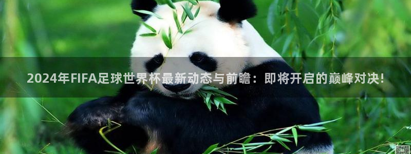 世界杯比赛直播：2024年FIFA足球世界杯最新动态与前瞻：即将开启的巅峰对决!