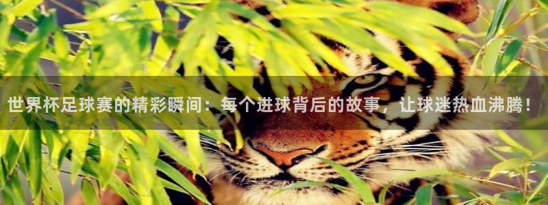 国际足联世界杯：世界杯足球赛的精彩瞬间：每个进球背后的故事，让球迷热血沸腾！