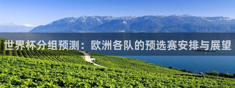 2026男足世界杯赛程：世界杯分组预测：欧洲各队的预选赛安排与展望