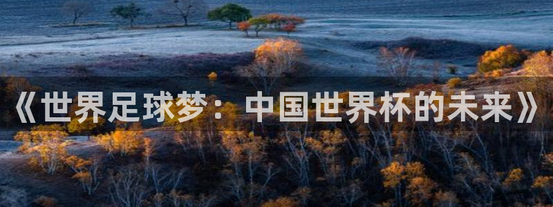 世界杯对阵表：《世界足球梦：中国世界杯的未来》