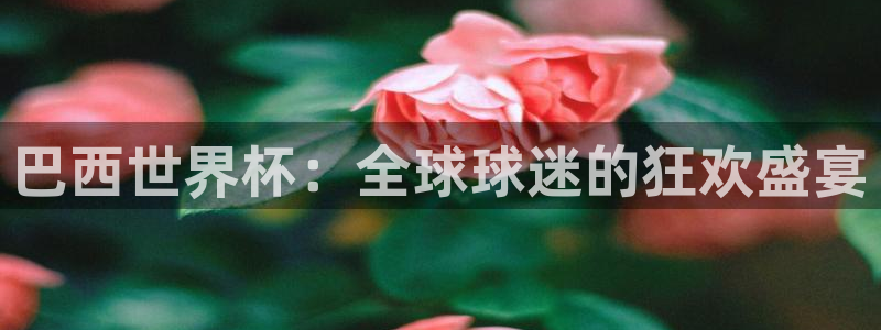 2026年世界杯：巴西世界杯：全球球迷的狂欢盛宴