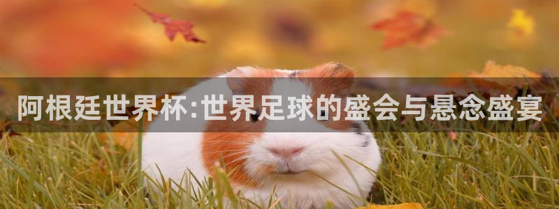 世界杯直播网：阿根廷世界杯:世界足球的盛会与悬念盛宴