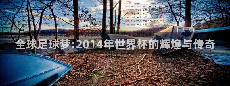 2026世界杯官网入口：全球足球梦:2014年世界杯的辉煌与传奇