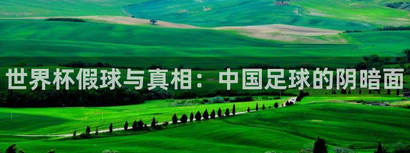 世界杯今年：世界杯假球与真相：中国足球的阴暗面