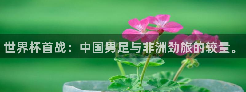 世界杯2026赛程表：世界杯首战：中国男足与非洲劲旅的较量。