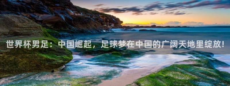 世界杯足球赛：世界杯男足：中国崛起，足球梦在中国的广阔天地里绽放!