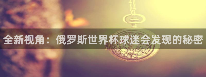 2026年世界杯对阵图：全新视角：俄罗斯世界杯球迷会发现的秘密