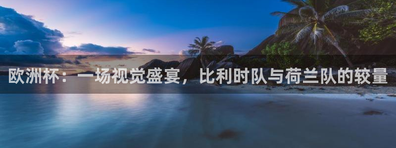 世界杯亚洲区预选赛赛程表：欧洲杯：一场视觉盛宴，比利时队与荷兰队的较量