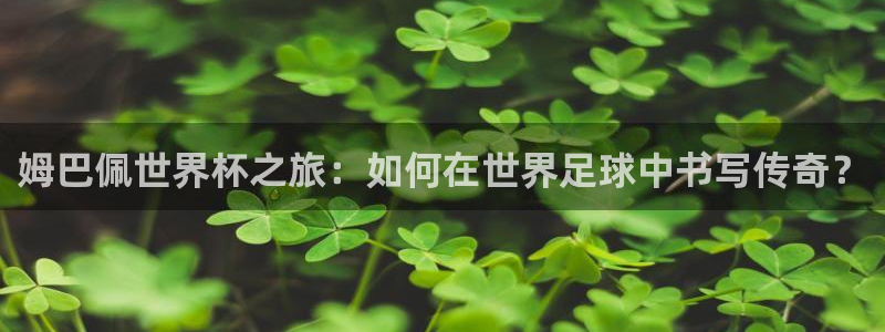 世界杯预选赛亚洲区积分榜：姆巴佩世界杯之旅：如何在世界足球中书写传奇？