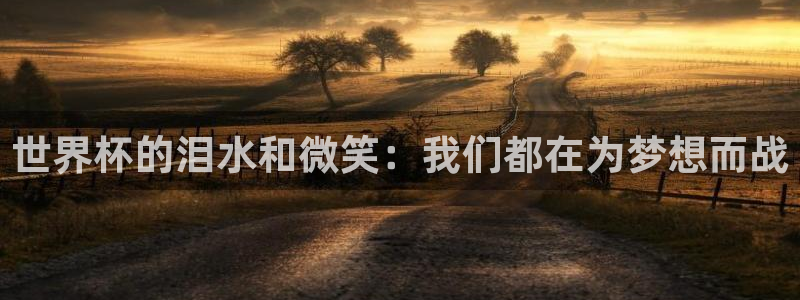 世界杯预选赛欧洲赛区积分榜：世界杯的泪水和微笑：我们都在为梦想而战
